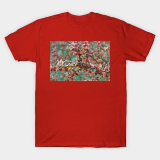 Frosted Red Berries T-Shirt